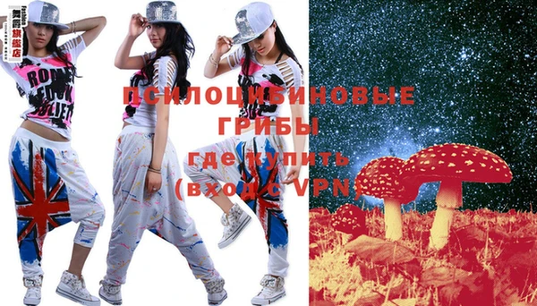 бошки Нефтегорск