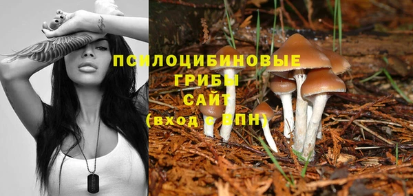 бошки Нефтегорск
