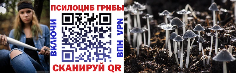 Псилоцибиновые грибы Magic Shrooms  наркошоп  Шенкурск 